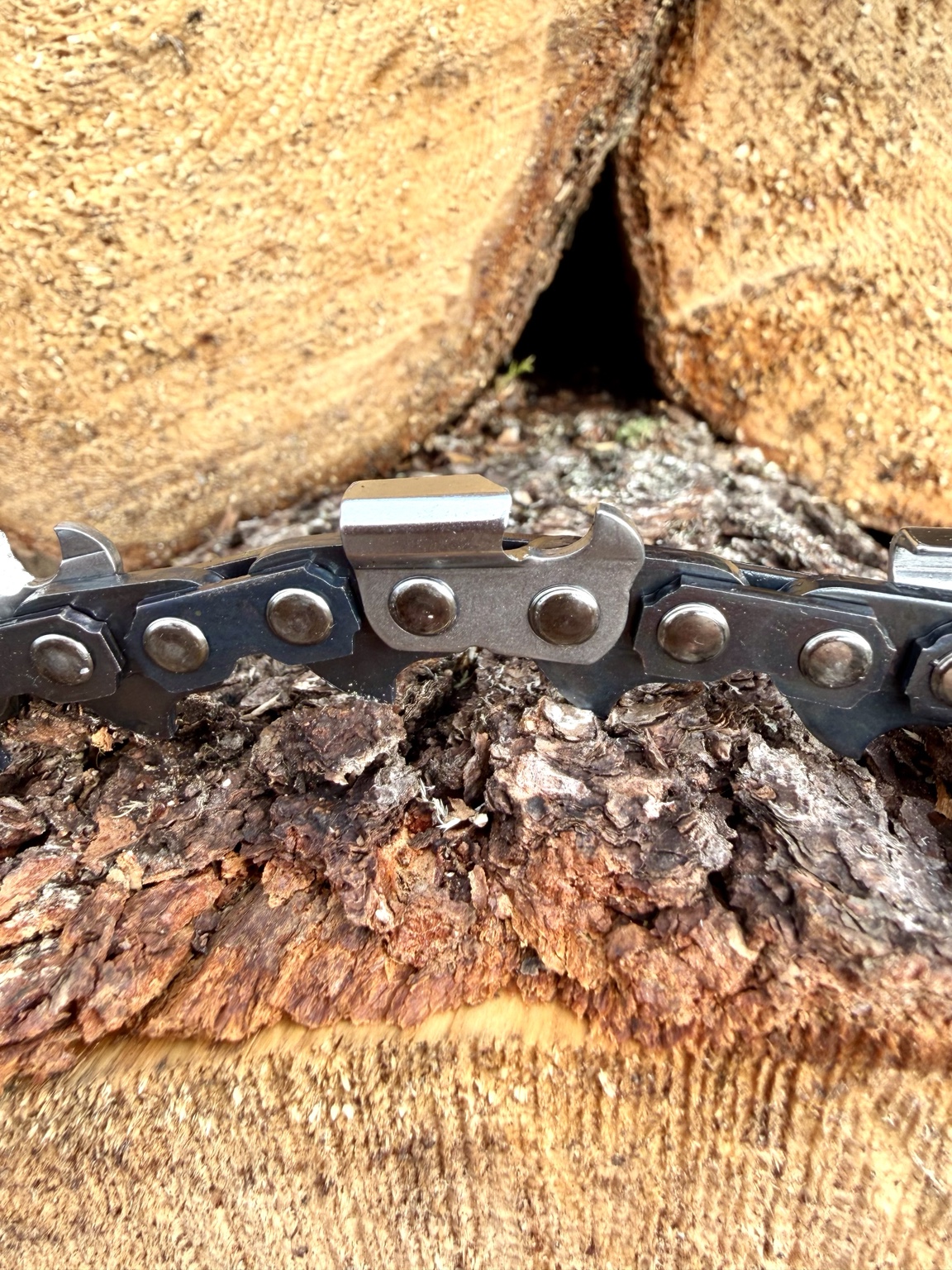 Détail des dents de coupe de la chaîne 2P Pro Saw