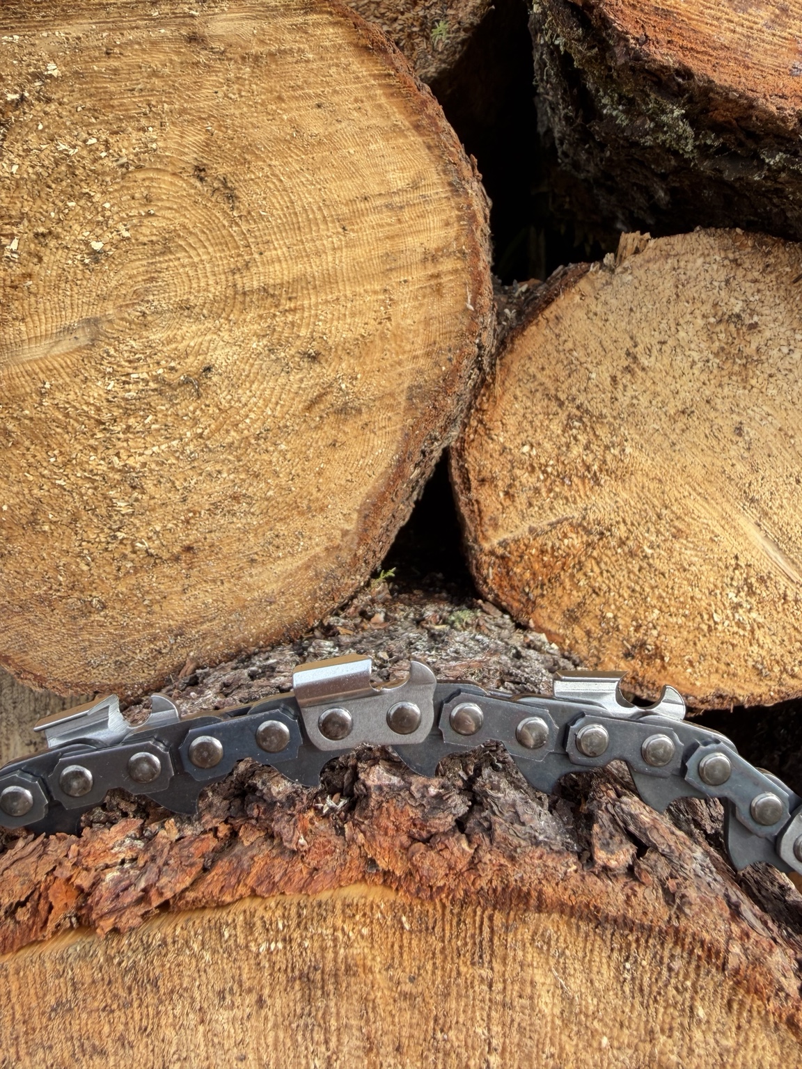 Gros plan de la chaîne 2P Pro Saw