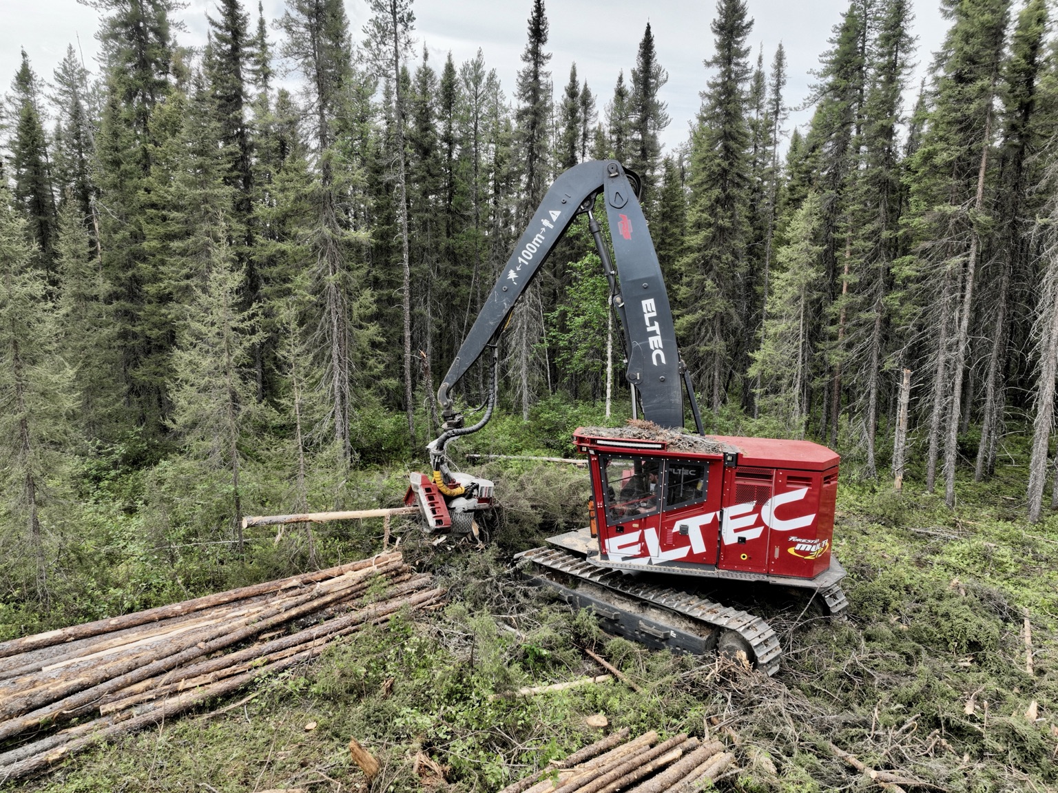 Abatteuse forestière Eltec en opération dans une forêt québécoise