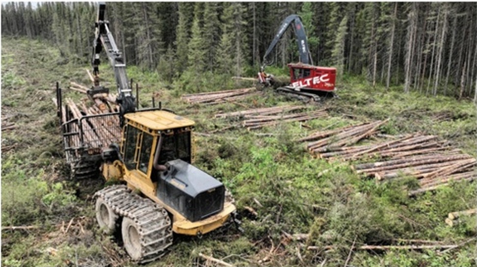 Équipements de Forestiers Multi 2P en forêt